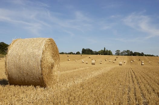 summer landscape with hay bales and deep blue skyscape