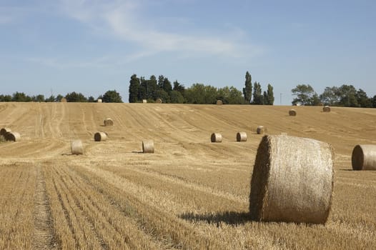 summer landscape with hay bales and deep blue skyscape