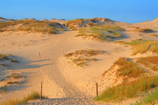 Large dune