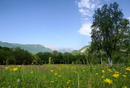 tranquil rural scene with meadow and mountains over blue sky