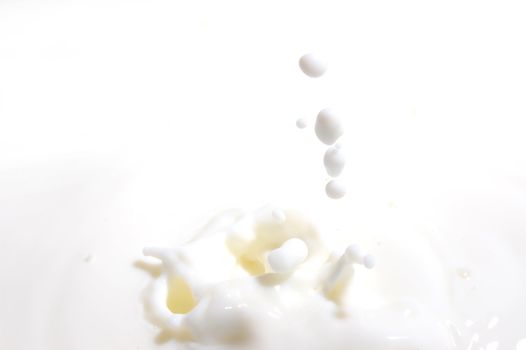 drops of milk splashing in fresh milk