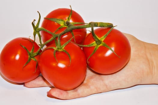 Tomato's on hand