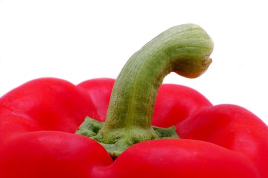 big red pepper isolated on the white background