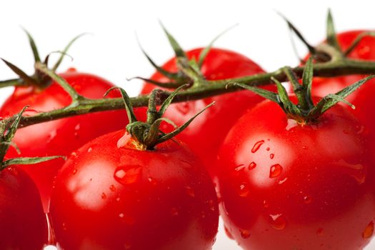 lots of tomatoes isolated on white background