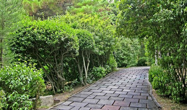 A park alley in Gurzuf (Crimea Ukraine)