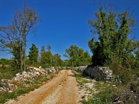 the coast of Istra