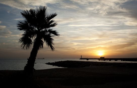 Sunset in Almeria (south-east coast of Spain) with the silhouette of a palmtree in the foreground and of a lighthouse in the background.