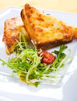 Sandwich with cheese and salad  on white plate
