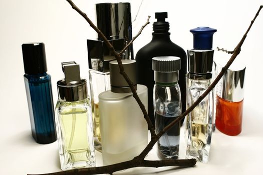 Assorted Perfume Bottles and Fragrances in white background