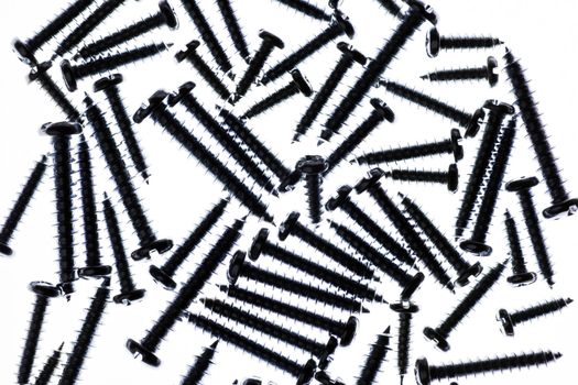 Many Spiral Metal Screws On A White Background