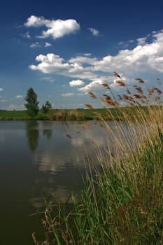 summer landscape in czech republic in europe