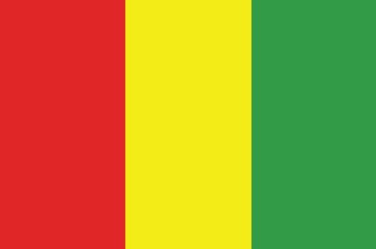 computer generated national flag of Guinea