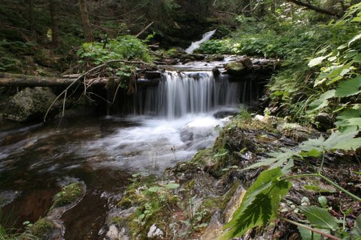 waterfall in forest in czech republic