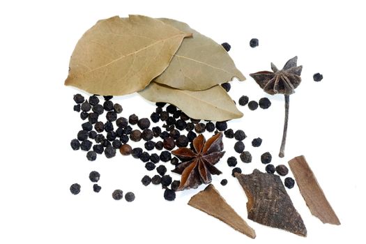 Various Spices peppercorns celery cinnamon and chives  in white background