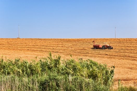 Tractor in summer field