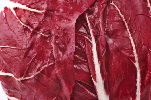 Abstract close up of a radicchio