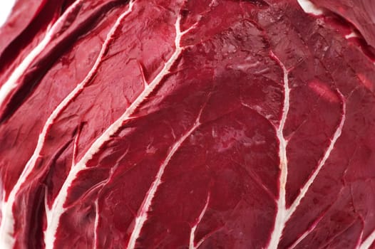 Abstract close up of a radicchio