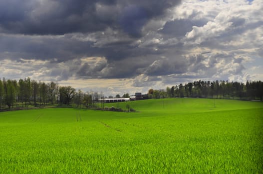 sunny green field and dark clouds on the sky