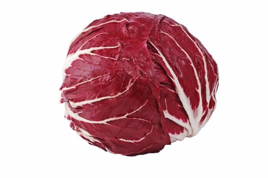 Radicchio isolated on white