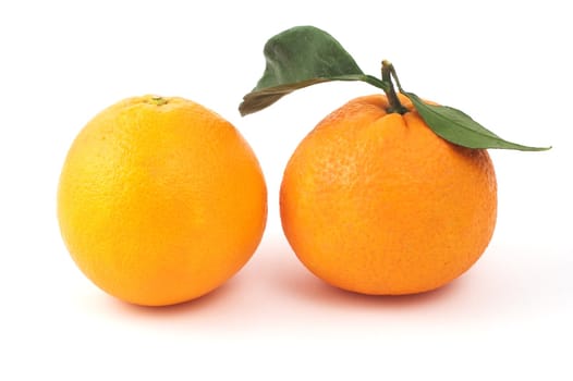 Two oranges isolated on white