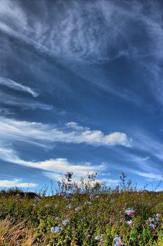 Dramatic blue sky and white clouds in the country side