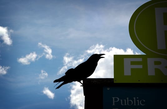 Image of a silhouetted Raven perched on a sign with open beak against a blue sky.