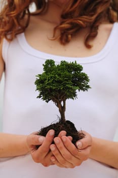 woman holding a small tree in her hands