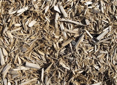 Wood shavings texture. Sawdust background.