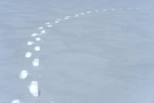 Footprints path crossing a snowy terrain.