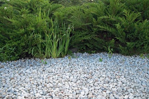 White pebble and green bushes in a botanical garden.