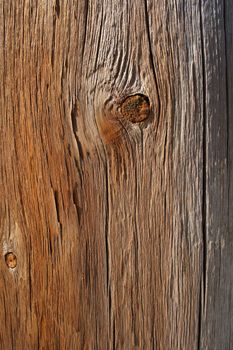 Wood texture: dry knotty wood, old and cracked.
