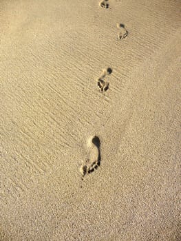 A row of footprints in some beach sand.