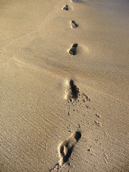 A row of footprints in some beach sand.