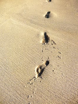 A row of footprints in some beach sand.