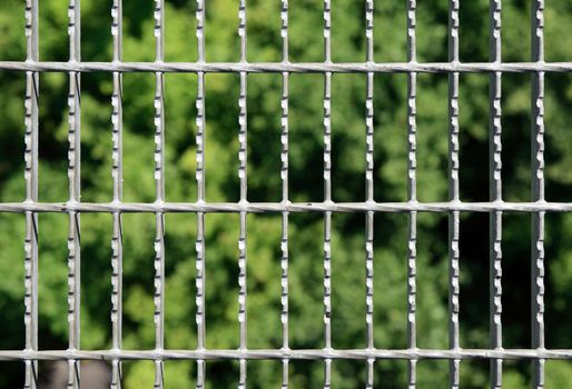 Metal grid with green blurry trees on the background.