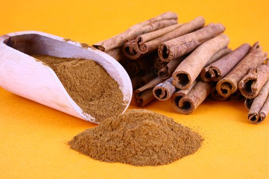 Sticks and powder of cinnamon reflected on the white background