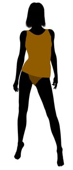 Woman lingerie without socks illustration silhouette on a white background