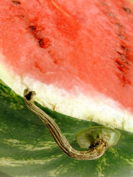 close-up of a half cut ripe watermelon