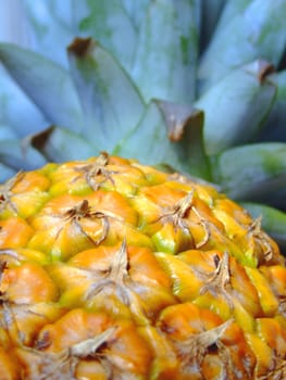 Close-up of a pineapple