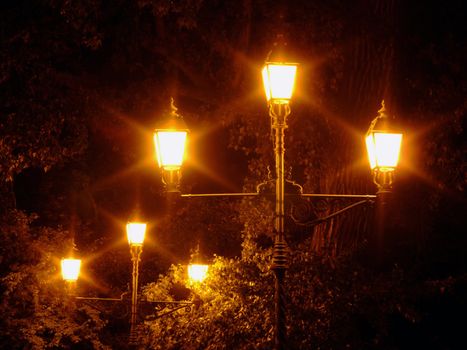 Street lamps in the park at night