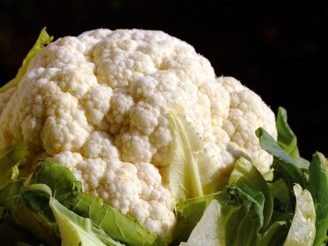 Close-up of a cauliflower on a black background