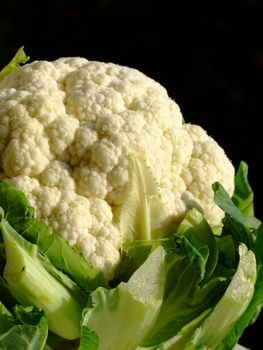 Close-up of a cauliflower on a black background