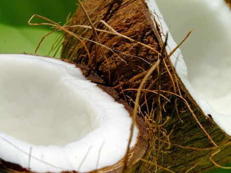 Close-up of an opened coconut fruit over a green background