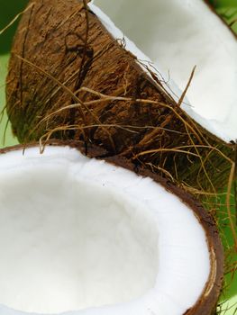 Close-up of an opened coconut fruit over a green background