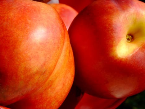 Close-up of ripe peaches in a red plastic basket