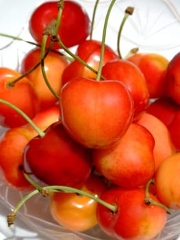 close-up of ripe double color cherries
