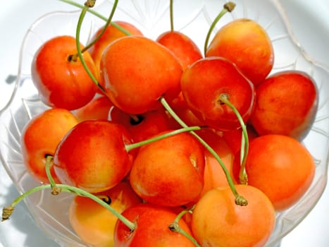 Close-up of some double color cherries
