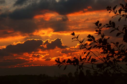 sunset beyond tree with sky and cloud, horizontally framed shot