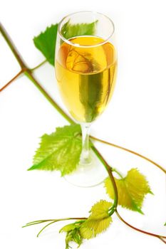 muscat glass of wine with leaves on white