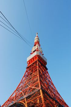 Tokyo TV tower at bright sunny day